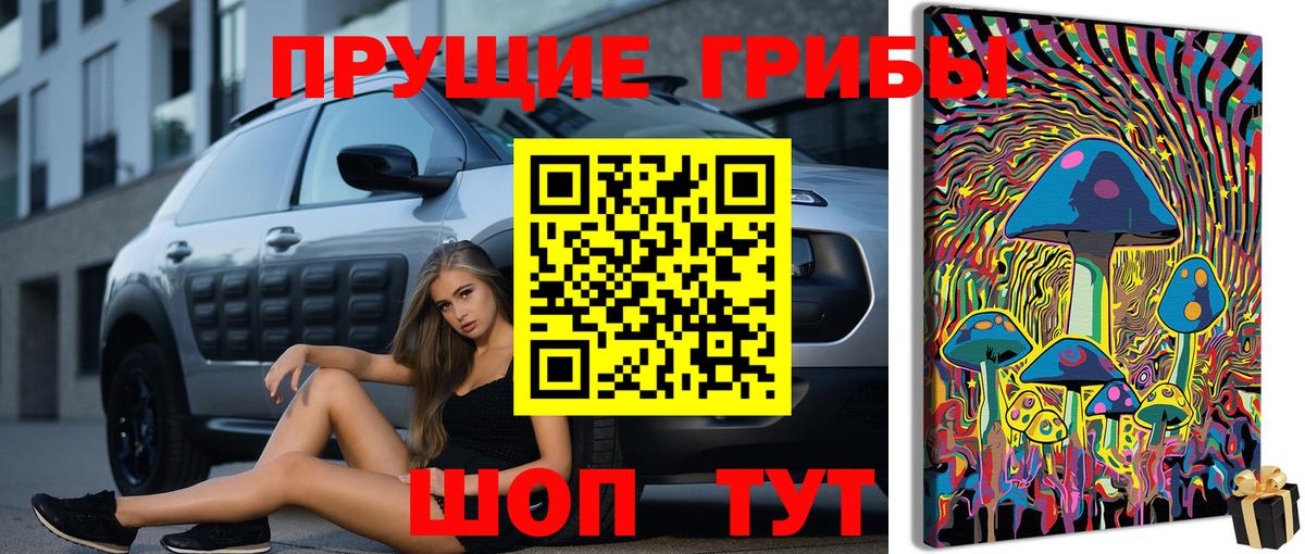 Псилоцибиновые грибы GOLDEN TEACHER Ефремов