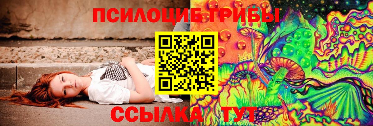 Галлюциногенные грибы ЛСД  Псилоцибиновые грибы мицелий  Вход с VPN  закладки  Ефремов 
